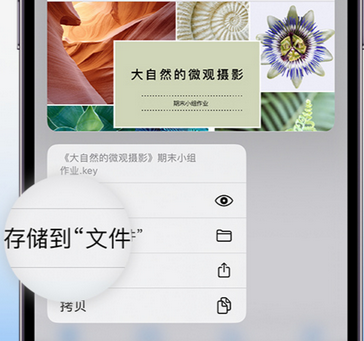 王屋镇apple维修中心分享iPhone文件应用中存储和找到下载文件