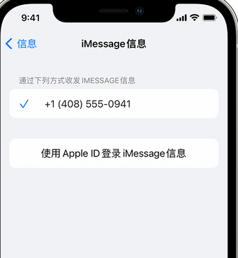 王屋镇apple维修iPhone上无法正常发送iMessage信息 