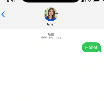 王屋镇apple维修iPhone上无法正常发送iMessage信息