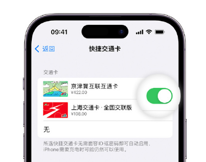 王屋镇apple维修点分享iPhone上更换Apple Pay快捷交通卡手绘卡面 