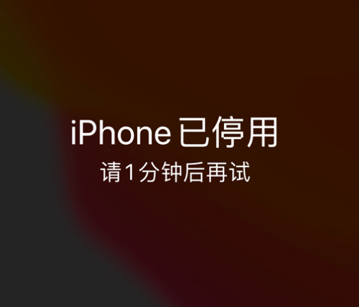 王屋镇苹果手机维修分享:iPhone 显示“不可用”或“已停用”怎么办？还能保留数据吗？ 