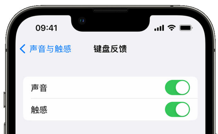 王屋镇苹果手机维修分享iPhone 14触感键盘使用方法 