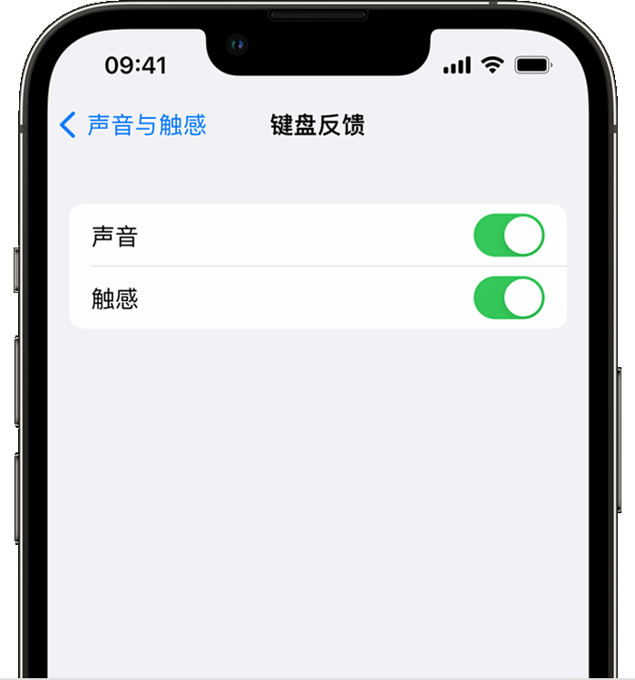 王屋镇苹果14维修店分享如何在 iPhone 14 机型中使用触感键盘 