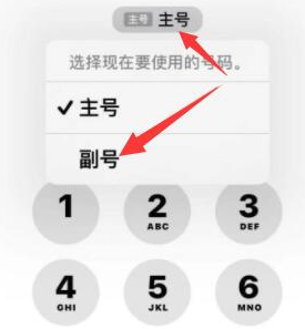 王屋镇苹果14维修店分享iPhone 14 Pro Max使用副卡打电话的方法 