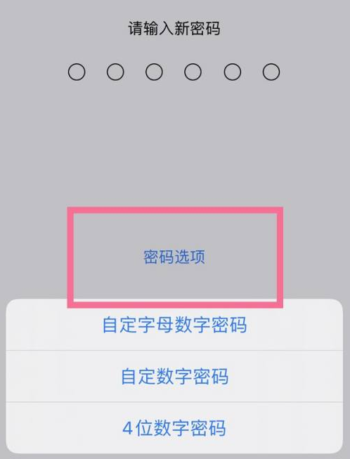 王屋镇苹果14维修分享iPhone 14plus设置密码的方法 