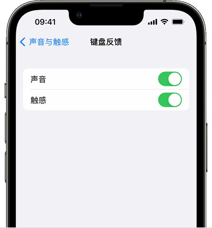 王屋镇苹果14维修分享iPhone 14 系列机型如何开启键盘声音或触感反馈 