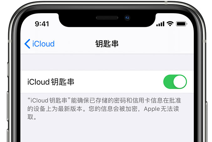 王屋镇苹果手机维修分享在 iPhone 上开启 iCloud 钥匙串之后会储存哪些信息 