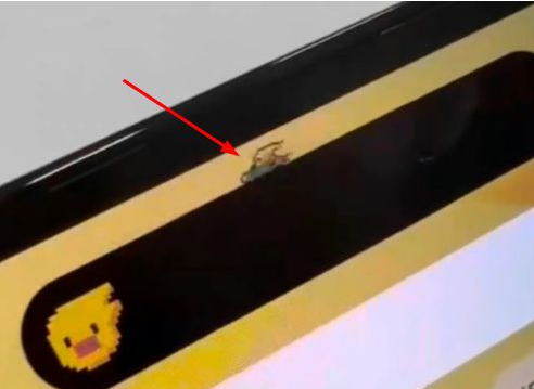王屋镇苹果14维修分享iPhone 14 Pro Max灵动岛怎么养宠物 