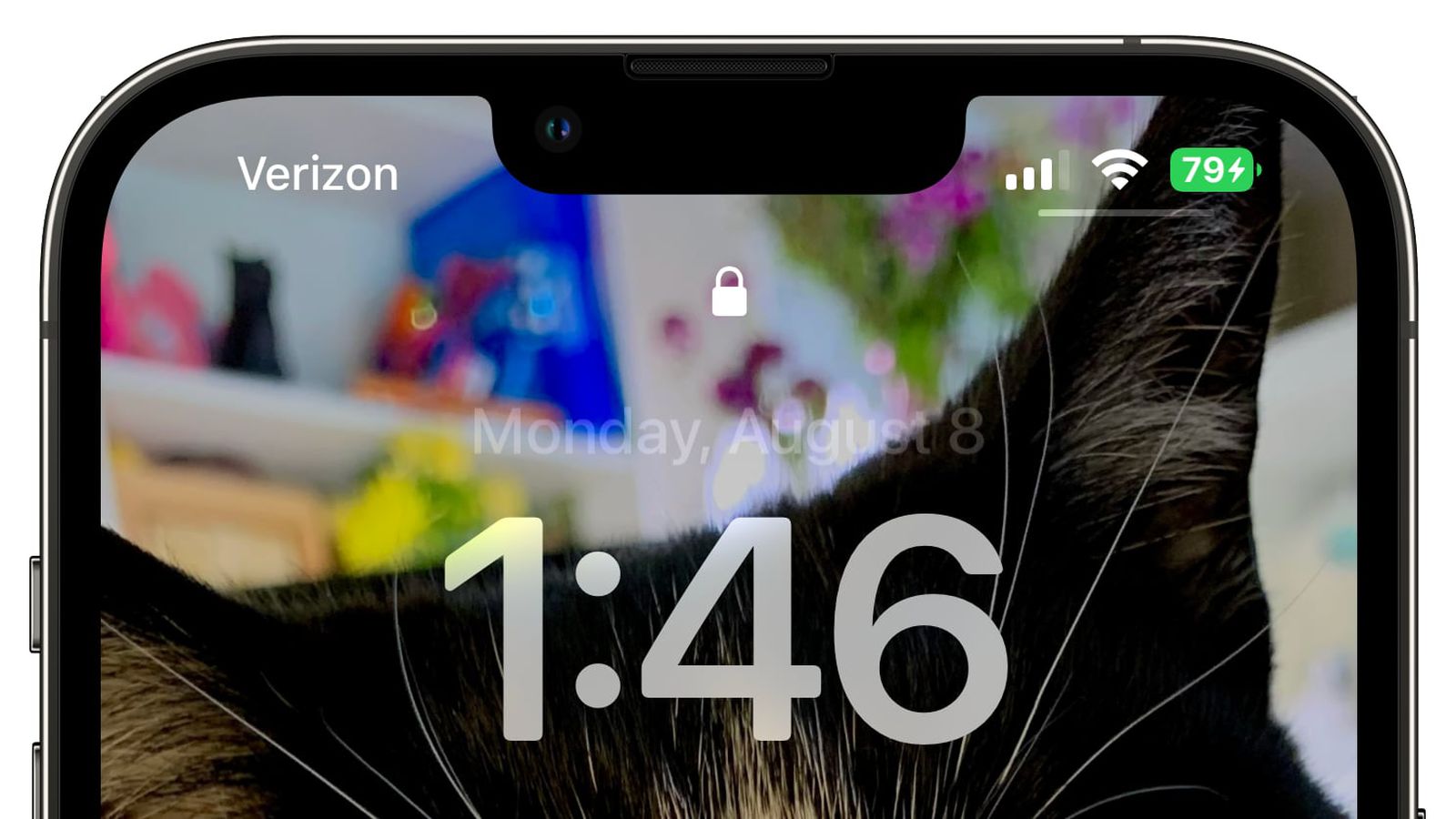 王屋镇苹果手机维修分享iOS 16 beta 5 支持状态栏显示电池百分比，如何开启？支持哪些机型 