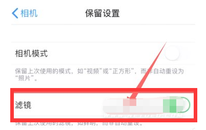 王屋镇苹果13维修分享iPhone13拍照有绿点是怎么回事 