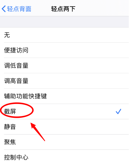 王屋镇苹果手机维修分享iPhone12如何启用双击截屏 