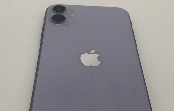 王屋镇苹果11系统维修分享iPhone11手机系统崩溃无法开机如何解决 